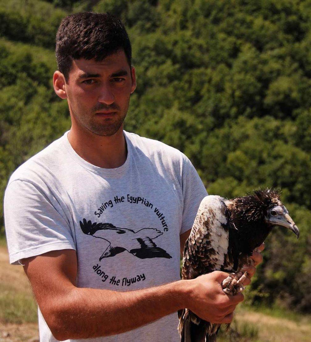 Volen Arkumarev holding an Egyptian Vulture