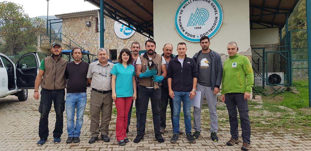 Representatives of the Turkish rehabilitation center where Anna was kept for a year together with local vets and the joint team of BSPB and Green Balkans. Photo: Ivaylo Klisurov