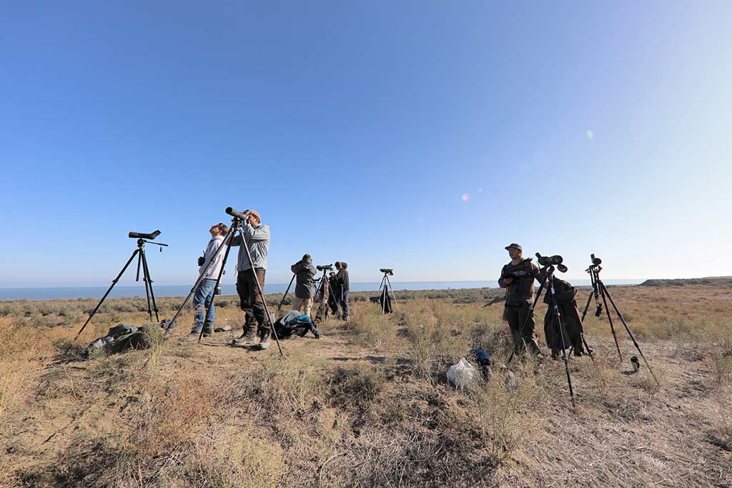 Birders counting birds at Besh Barmag, Azerbaijan