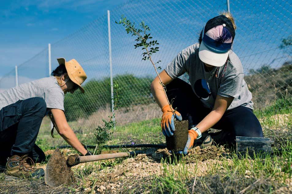 Tree planting on the new reserve. Silvio Rusmigo