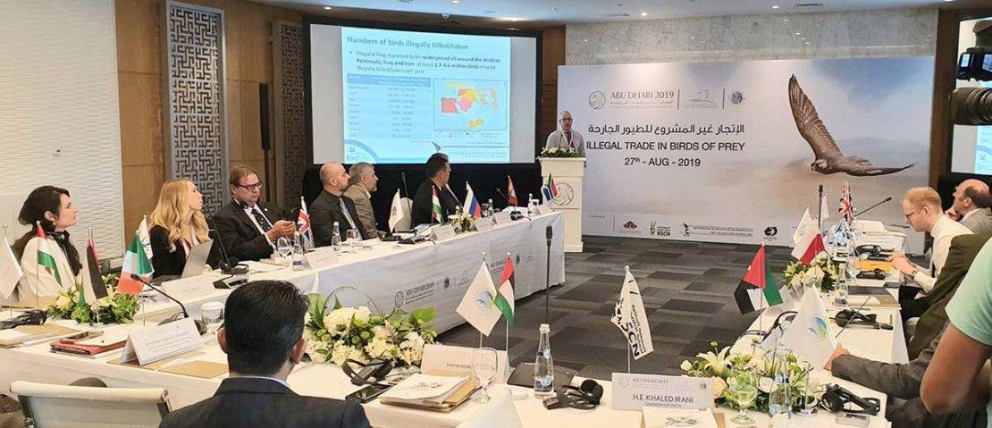 Plate 2. OSME Chairman, Rob Sheldon, presenting the results of the illegal bird killing assessment at a workshop on the illegal trade in birds of prey, ADIHEX2019, Abu Dhabi. © Nick Williams