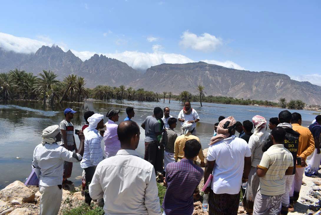 Plate 4. Birdwatching at Sirhen Lagoon, Socotra. One of a number of events supported by a Conservation Fund grant to promote International Vulture Awareness Day on Socotra. © Ali Yahya Ali