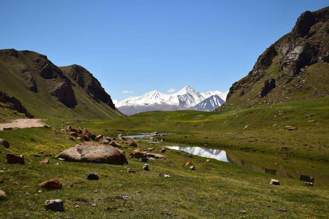 The landscape at Naryn - Saker Falcon breeding habitat. © Maxim Koshkin.