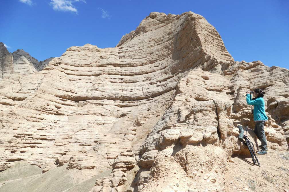 Surveying in Naryn for Sakers. © Maxim Koshkin.