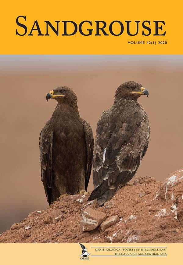 Front cover of Sandgrouse 42-1