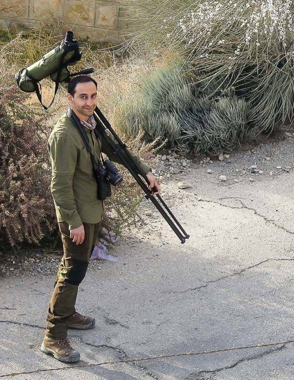 Common Swifts in Iran a Conservation Project