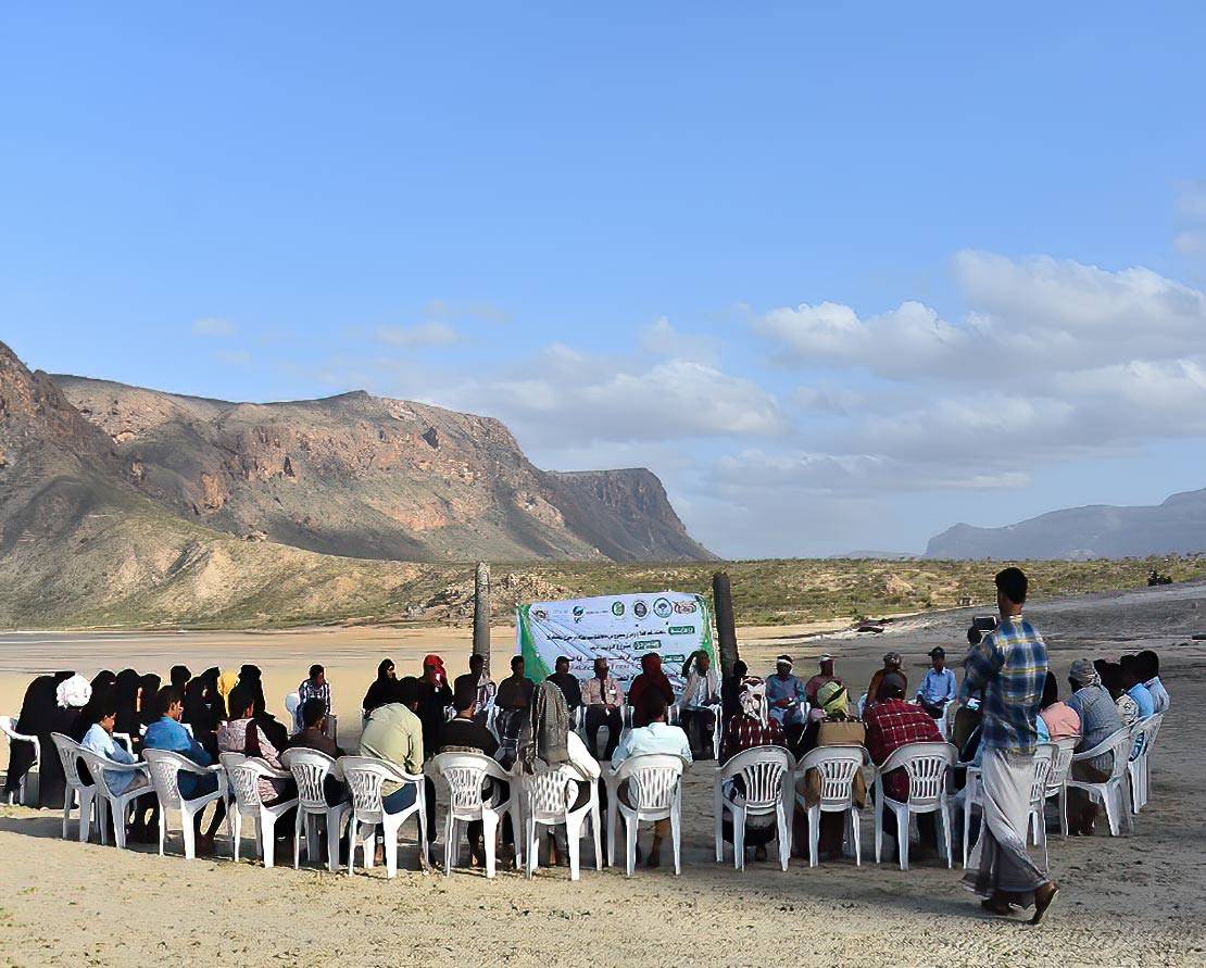 The Socotra Wildlife Association