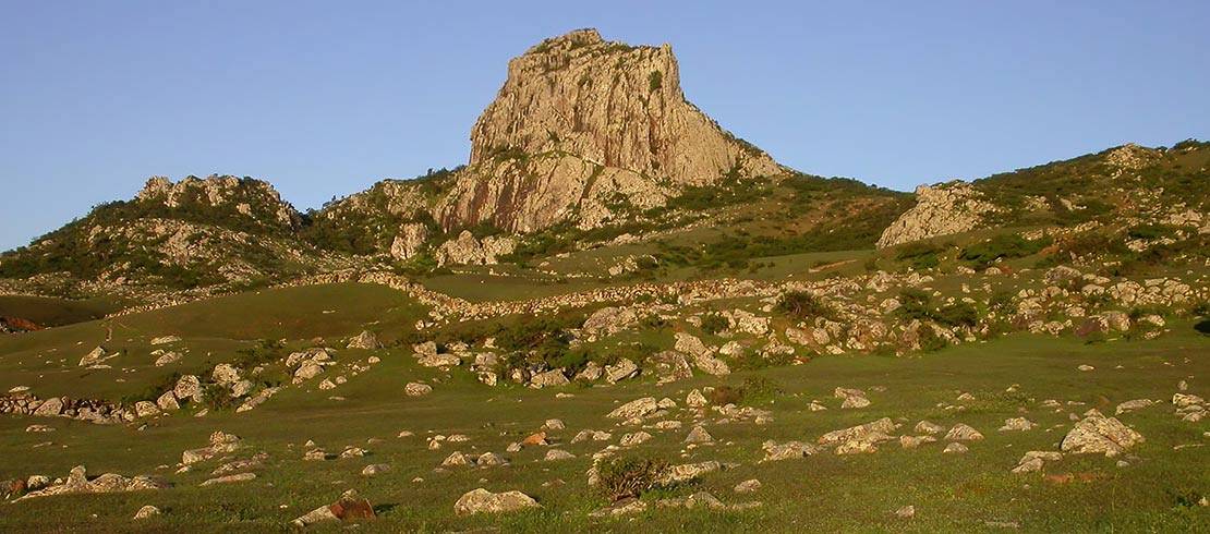 In the Haggier Mountains – one of Socotra’s special places