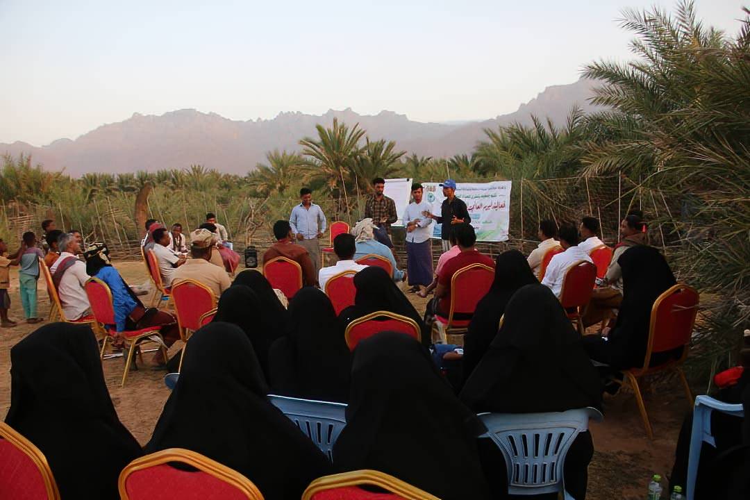 The Socotra Wildlife Association