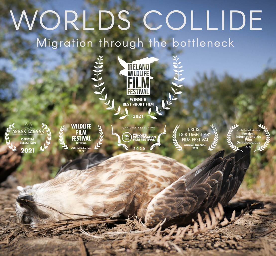 Worlds Collide – Migration through the Bottleneck