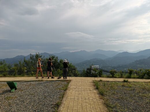 A glimpse into the Batumi Raptor Count of 2023 – Ornithological Society ...