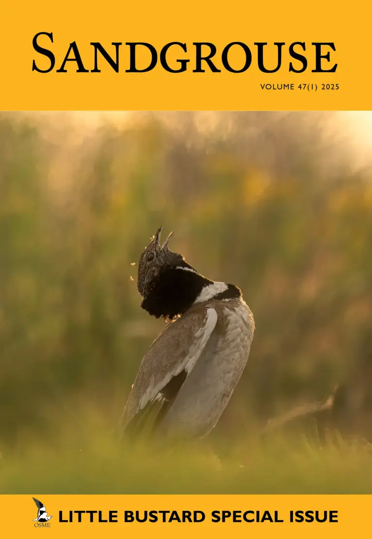 Sandgrouse volume 47 (1)
