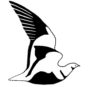 Ornithological Society Of The Middle East The Caucasus And Central Asia