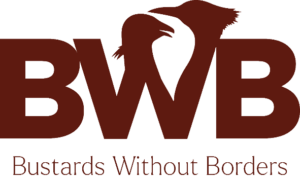 Bustard Multi-species Action Plan-image005