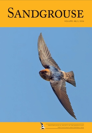 Sandgrouse